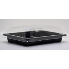 Sushi take-away set box... 2