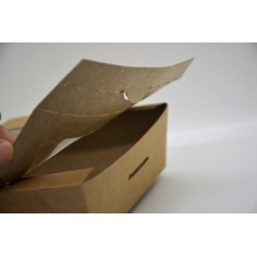 Salad box large με παράθυρο 2